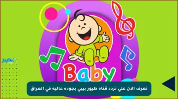 تعرف الآن على تردد قناة طيور بيبي بجودة عالية في العراق